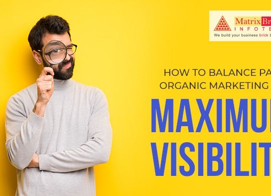 how to balance paid and organic marketing for maximum visibility