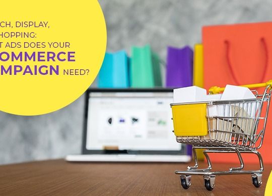 Search, Display, or Shopping: What Ads Does Your e-commerce Campaign Need?