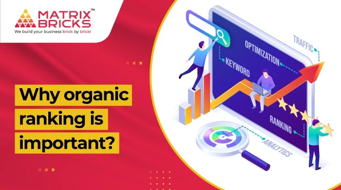 Why organic ranking is important?