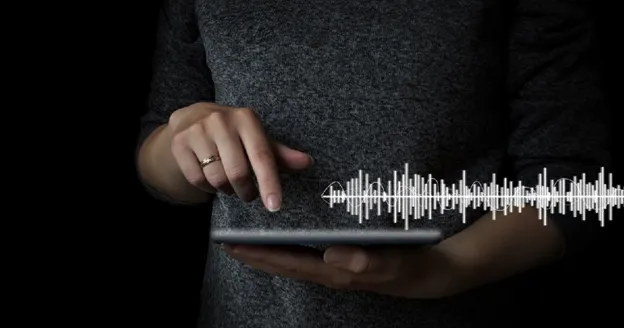 Adapting your e-commerce store for voice search and voice commerce