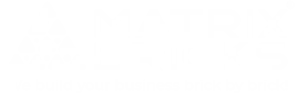 Matrix Bricks logo