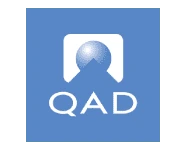 Matrix Bricks Client Logo - QAD