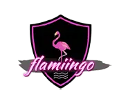 Matrix Bricks Client Logo - Flamiingo