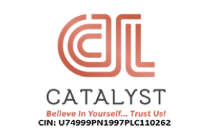Matrix Bricks Client Logo - CATALYST