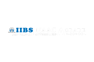 Matrix Bricks Client Logo of iibs