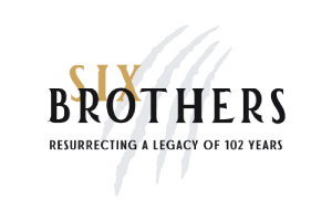 Matrix Bricks Client - Six Brothers
