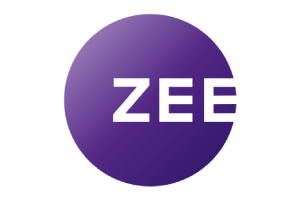 Matrix Bricks Client Logo - ZEE